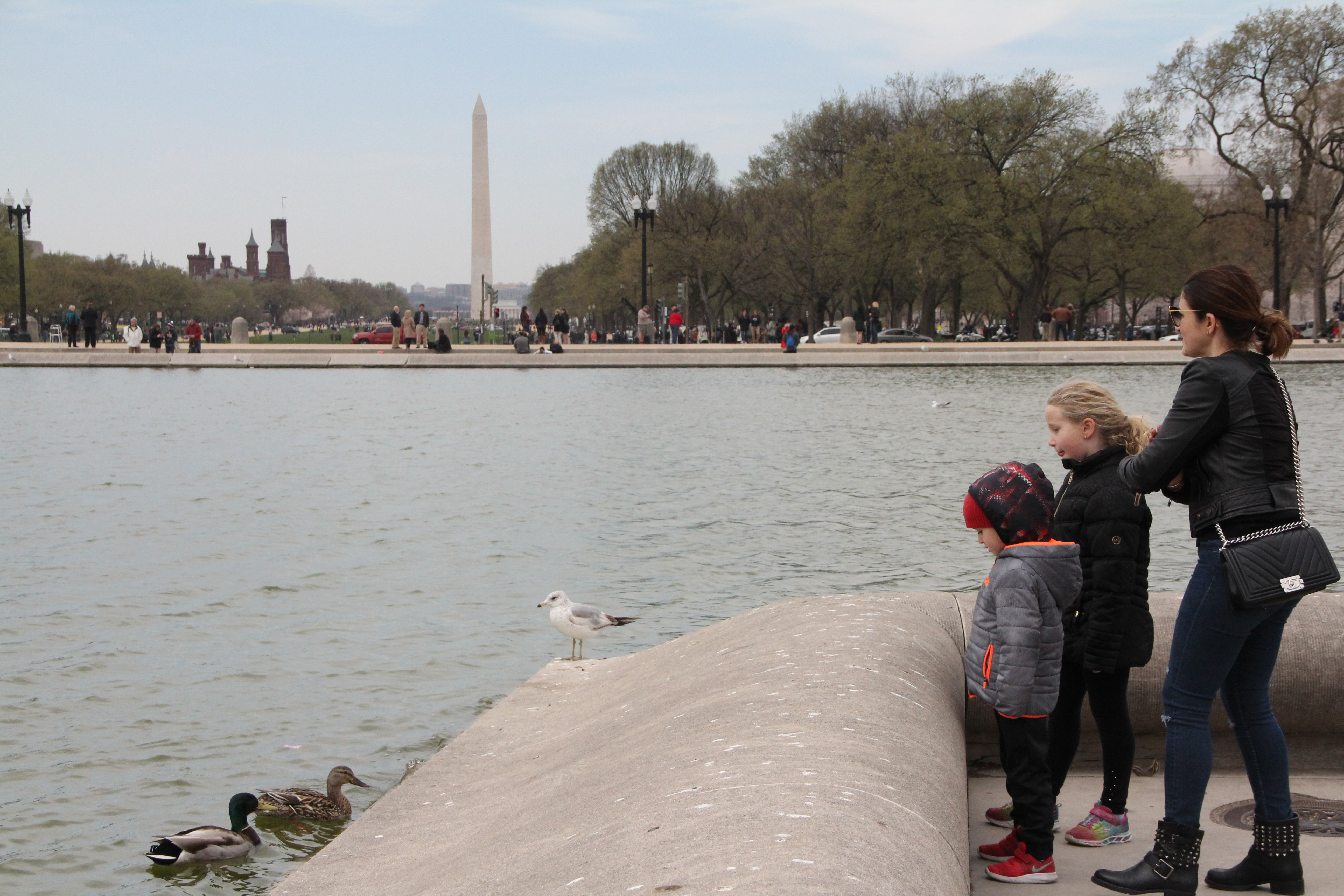 Family vacation _pictorial